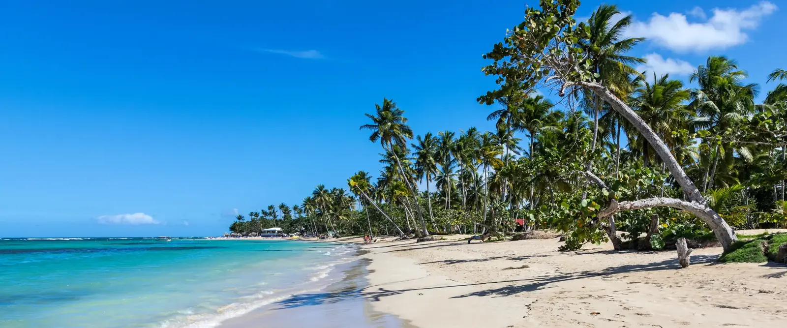 Playa de arena blanca con palmeras en República Dominicana